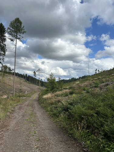 Kleiner Rundwanderweg Finsterbergen