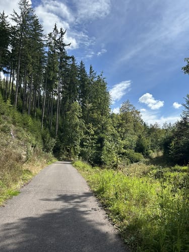 Kleiner Rundwanderweg Finsterbergen