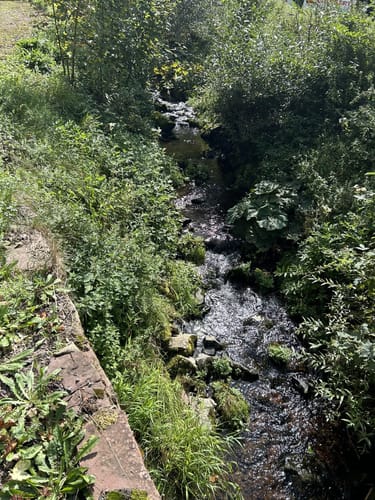Kleiner Rundwanderweg Finsterbergen