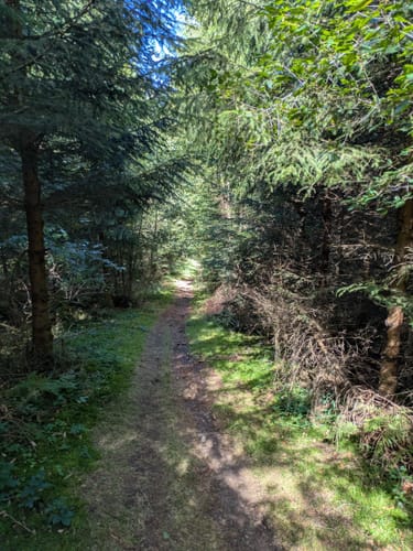 Hirtenweg von Yach