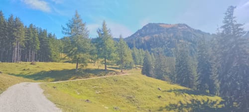 Brachtalm
