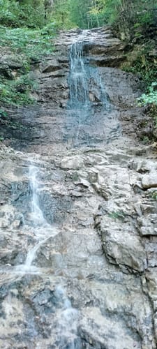 Brachtalm