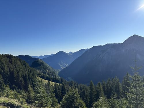 Über die Sonnenköpfe
