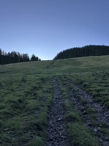 Über die Sonnenköpfe