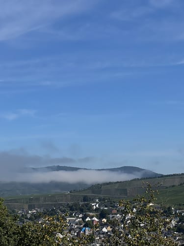 Klüsserather Sagenweg (Moselsteig Seitensprung)