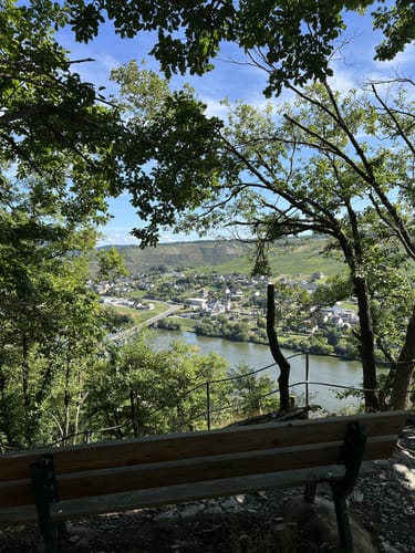 Klüsserather Sagenweg (Moselsteig Seitensprung)