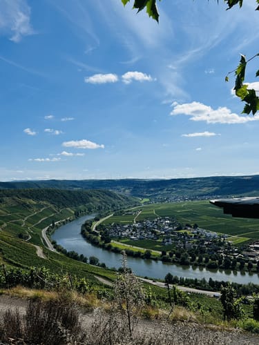 Klüsserather Sagenweg (Moselsteig Seitensprung)