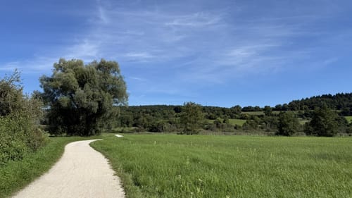 Rund um den Mindelsee