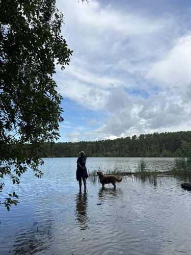 Naturlehr- und Erlebnispfad: Biber-Pfad
