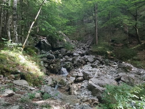 Brachtalm