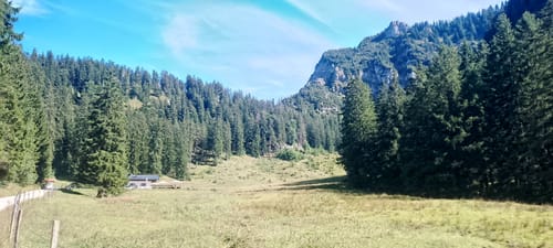 Brachtalm