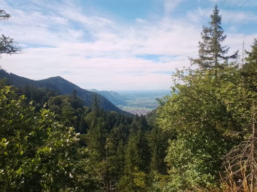 Brachtalm