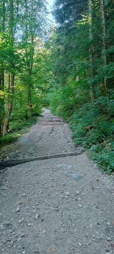 Brachtalm