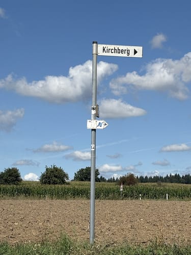 Neckarsteig Etappe 9: Gundelsheim - Bad Wimpfen