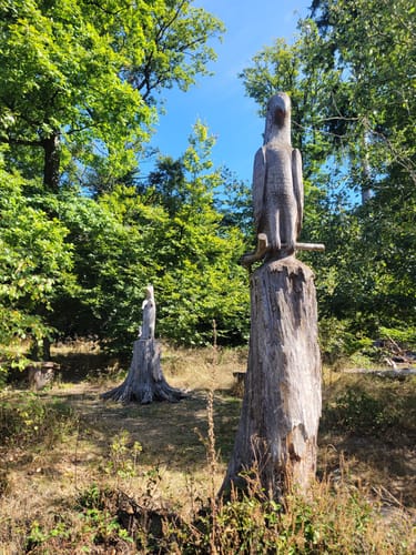 Fellingshausen: Archäologischer Wanderweg auf den Dünsberg
