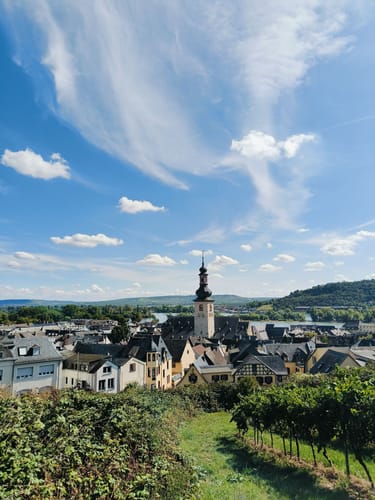 Von Rüdesheim zur Burg Ehrenfels