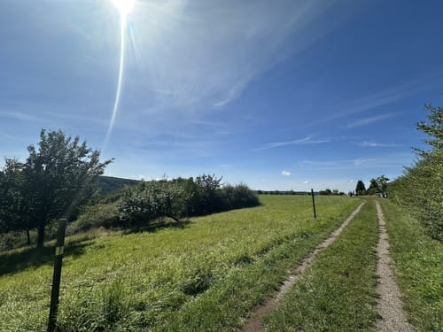 Eifelsteig Etappe 13: Himmerod - Bruch