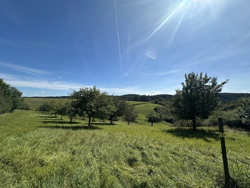 Eifelsteig Etappe 13: Himmerod - Bruch