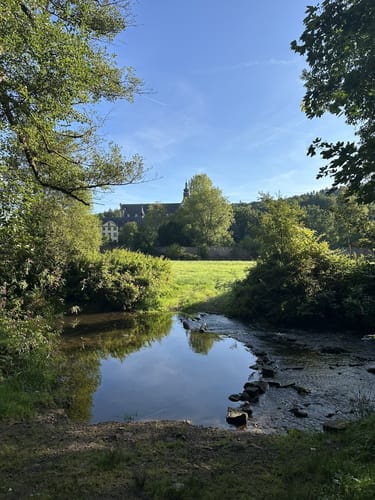 Eifelsteig Etappe 13: Himmerod - Bruch