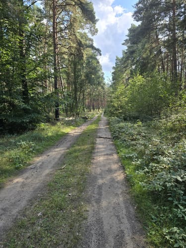 Gräfenhainichen - Dübener Heide - Gröberner See