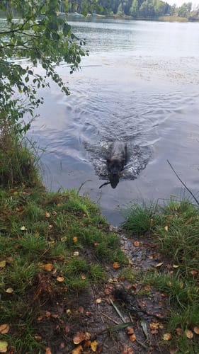 Rund um die Riedseen