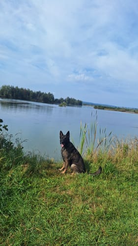 Rund um die Riedseen