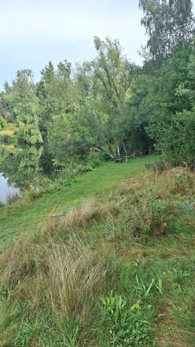 Rund um die Riedseen