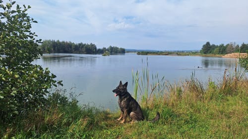 Rund um die Riedseen