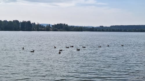 Rund um die Riedseen