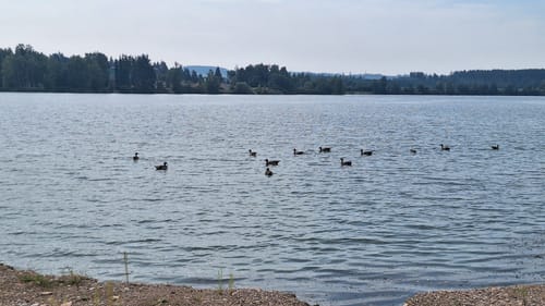 Rund um die Riedseen