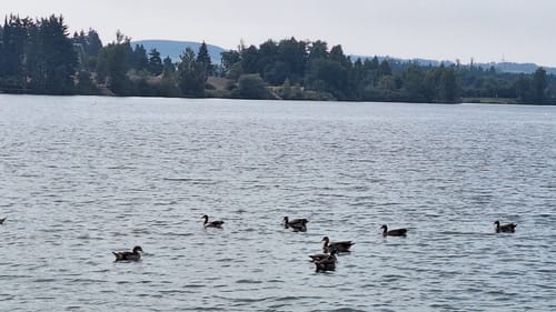 Rund um die Riedseen