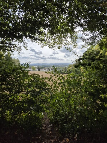 Bad Salzuflen Rundweg 8