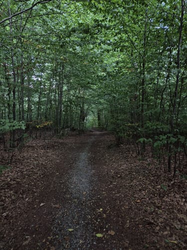 Bad Salzuflen Rundweg 8