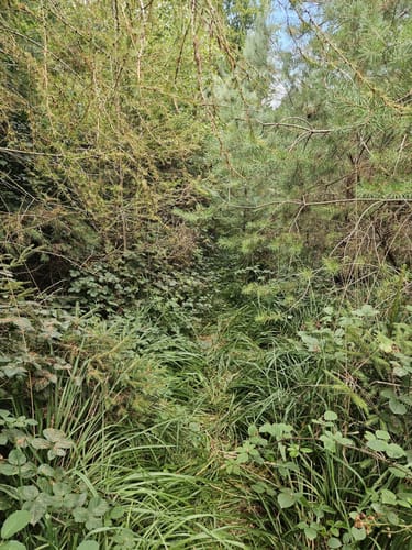 Eichelberg Rundweg