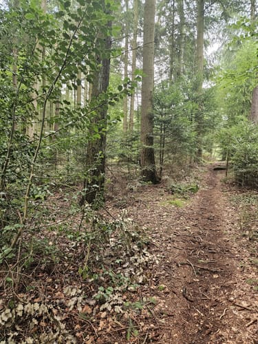 Eichelberg Rundweg