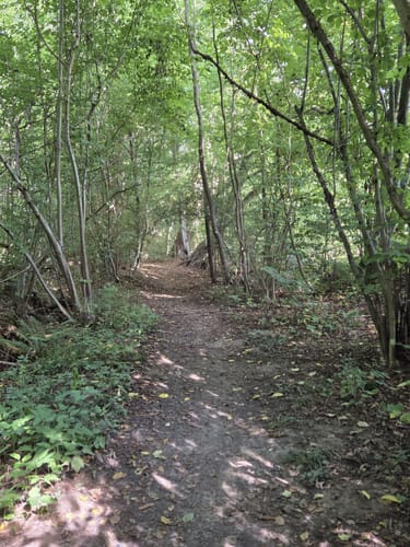 Elm Rundwanderweg 28