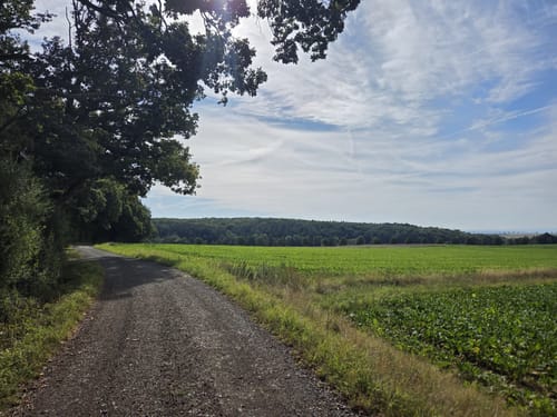 Elm Rundwanderweg 28