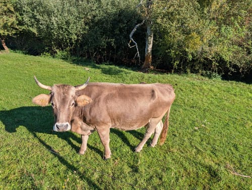 Rundwanderung Naturschutzgebiet Buckowseerinne
