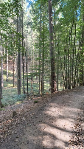 Auf den Hasselbrack