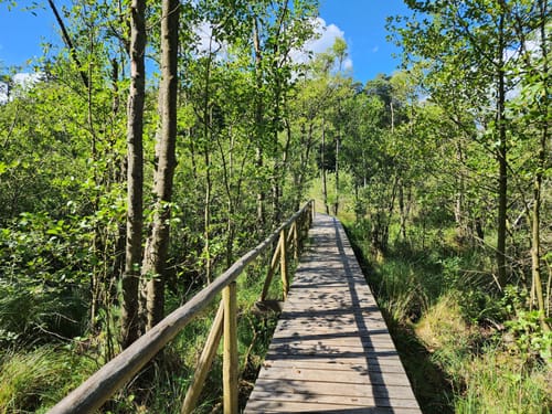Müritz-Nationalpark und UNESCO Weltnaturerbe Serrahner Buchenwälder