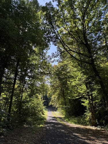 Rheinsteig Etappe 1: Bonn - Königswinter