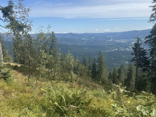 Großer Arber und Arbersee