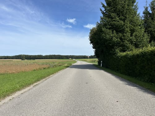 München - Pupplinger Au