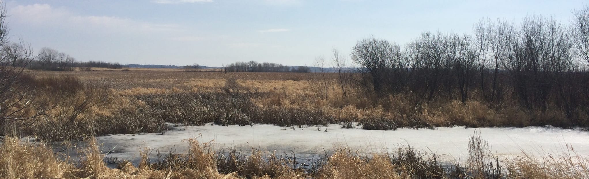 Horicon Marsh Autotour, Wisconsin 57 Reviews, Map AllTrails