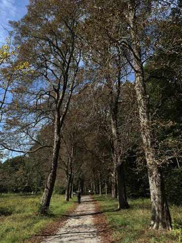 Schlosspark und Schloss Rastede