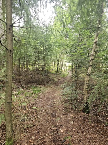 Eichelberg Rundweg