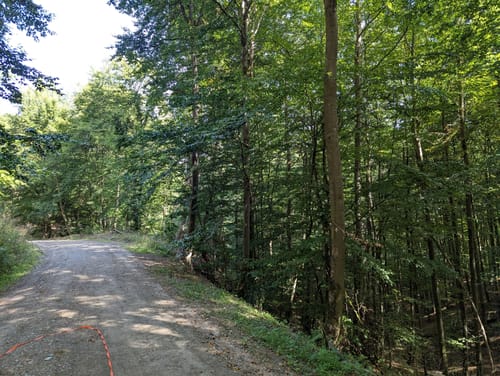 Louisendorf Rundweg 2 - Vom Hugenottendorf ins malerische Lengeltal