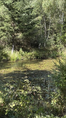 Finkenberg Runde