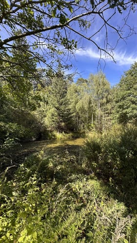 Finkenberg Runde