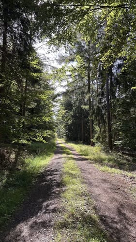 Finkenberg Runde